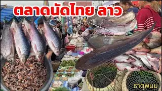 ตลาดนัดไทยลาว 11 ธค 68 ปลาค่อนา ปลาดุกนา ปูแดง ของขายหลายมื้อนี้ #ตลาดนัดไทยลาว #ตลาดลาว