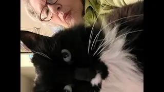TEMU for MissSassy, my blk & wht cat, loves being brushed. And still a full bag of stuff.