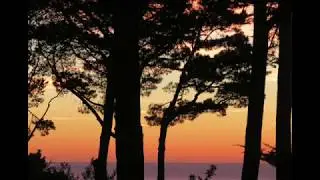 Masterpieces of Monterey: Art and Photography