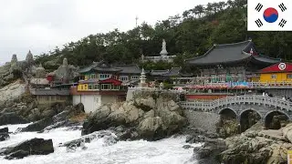 ASÍ ES BUSAN, la Ciudad Costera de COREA | COREA DEL SUR #10