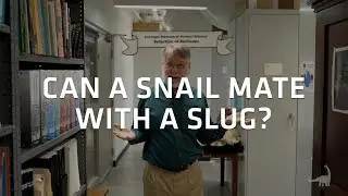 Snails and Slugs - Can they mate? Ask A Scientist