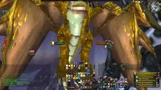 TIme-Lost Proto-Drake, 200+ hours - Atiesh-Horde server - WoW classic