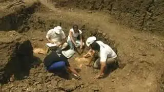 FORMAÇÃO ROMUALDO-UM MILAGRE PALEONTOLÓGICO