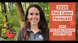 2020 Ohio Fall Color Forecast