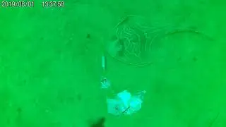 Underwater camera flathead fishing footage Shellharbour NSW South Coast