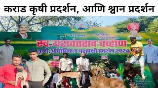 Karad krushi pradarshan,Ani shwan pradarshan 9.12.2024 #dog#Karad #Satara #Dogshow