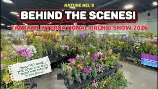 Exclusive Behind the Scenes: Tamiami Orchid Show 2026 VIP Tour 