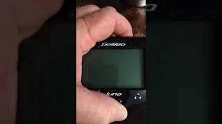 Galileo Luna Dive Computer Screen Problem