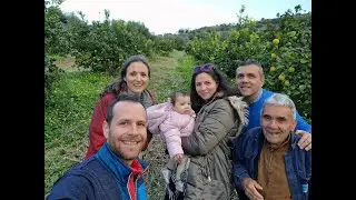 I giardini di limoni: intervista all'azienda agricola siciliana Il Noto