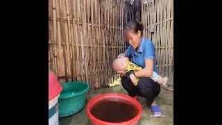 Single Mother Rescues Abandoned Baby Found on the Roadside