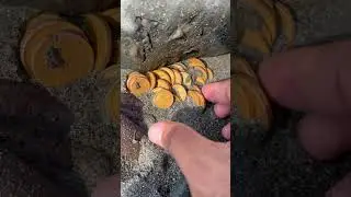 Hidden Treasure Chest Revealed &ndash; Rare Coins Found!