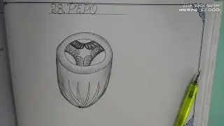 Drawing PEPO ineasy steps//#Howtodrawpepo @The_LefthandedArtist  #intermediate #record #zoology #botany