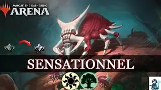 J'ADORE CE DECK BOURR&Eacute; DE SYNERGIES!  MAGIC ARENA Deck TOKEN SELESNYA STANDARD Ranked. MONDRAK MTGA