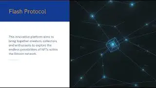 flash Protocol