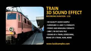 Train on the Railway Station 3D Sound Effect