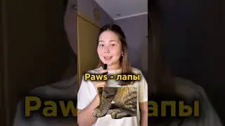 Проверьте Ваш Английский ✅
