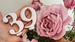 В итальянском питомнике Lari!🇮🇹(Memorial Day, Love Song, Purple Lodge, Parfum Royal, Red Flame)