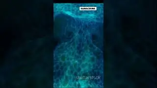 10 Mind-Blowing Ocean Facts You&rsquo;ve Never Heard Before!