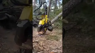 respect of evolution