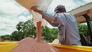 How World Bank Group Guarantees Help Create Jobs Around the World