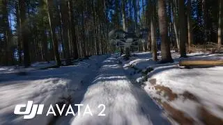 Best FPV Drone Shots Compilation (DJI Avata 2)