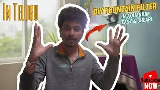 How to Make a Buddha Fountain Filter for Your Aquarium at Home #vlog #aqurium #how 