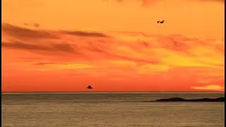 Litt ytsyn og narur fra Litlekalsøy i Austevoll.