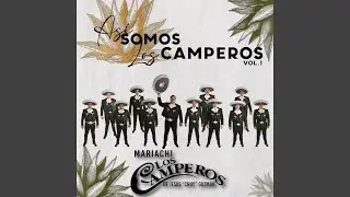 El Aguacero