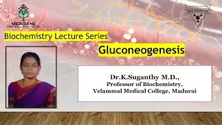 Gluconeogenesis | Biochemistry | Dr.Suganthy M.D., | MEDUSANE