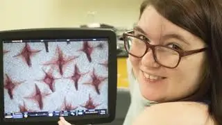 Welcome to Biotech - Virtual Lab Tour