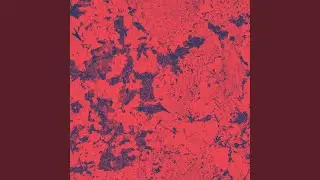 Translucid