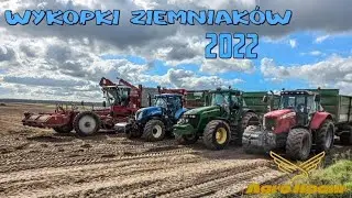 Wykopki ziemniaków na wielką skalę w Wielkopolsce | Grimme varitron 470 | Nh t7 & Mf 7495