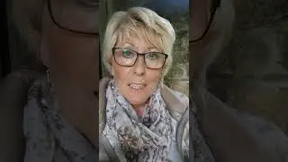 Контролируемая оппозиция..Реальность