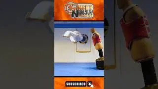 Corkscrew Round Kick on BOB XL 💥 #gingerninjatrickster #taekwondo #century