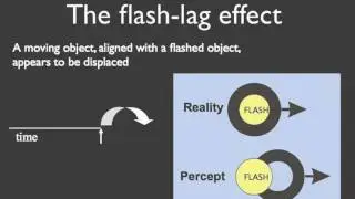 What is time to the brain ? Perception of time delation