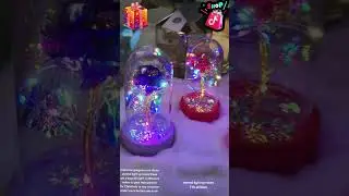 Eternal Light-Up Roses &ndash; Perfect Gift for Her! 33% Off Now #fok