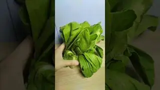 If you love clean ASMR sounds, don't skip#asmr #asmrsounds #bokchoy #satisfying #relaxing