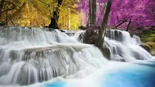 Say Goodbye to Anxiety | Waterfall in a Blooming Forest | Nature Sounds for Sleeping 10 Hours
