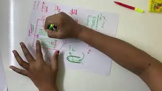 Bag filter:Equipment for control of air-pollution