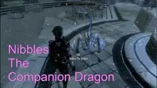 Dragon companion for Skyrim