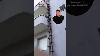 Cat Ladders in Switzerland 😻