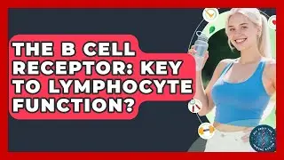 The B Cell Receptor: Key To Lymphocyte Function? - All About the Immune System