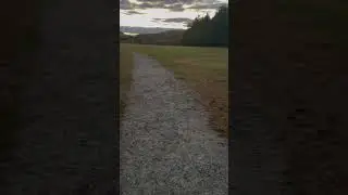 Dusk Walk