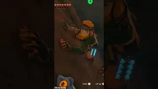 Zelda Tears of the Kingdom ( 2nd best thing for the Frog armor) #frog #venjent
