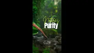 Leeches are more than just creatures of the soil ; they are pristine quality of our land.