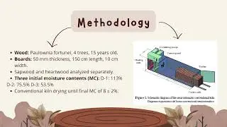 EFFECTS OF DIFUSSION DRYING SCHEDULES ON GAS AND LIQUID