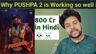 Why Pushpa 2 is Monstrous Success In North India??
