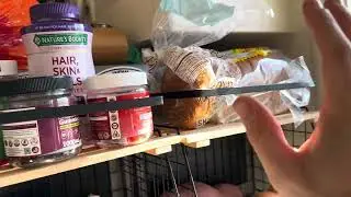 Magnetic Fridge Organizer | Can It Hold What They Claim?