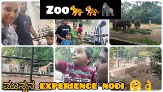Vlog 70~ Animals  ನೋಡೋದಕ್ಕೆ ನಾವು zooಗೆ ಹೋಗಿದ್ವಿ 🐯🐘@BhaviPriyavlogkannada #kannadavolgs #bhavipriya