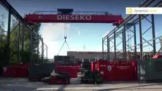 Dieseko Group